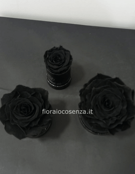 Rosa nera stabilizzata