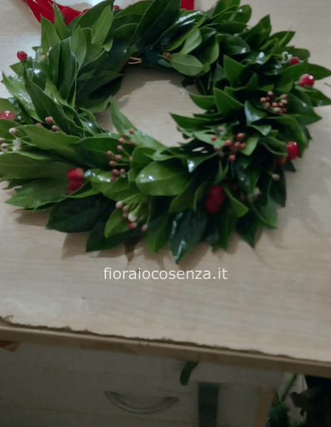coroncina laurea