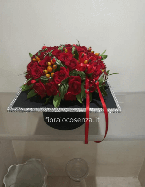 Tocco laurea