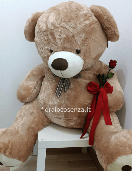 Orso 1 mt