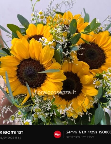 Bouquet girasoli e camomilla
